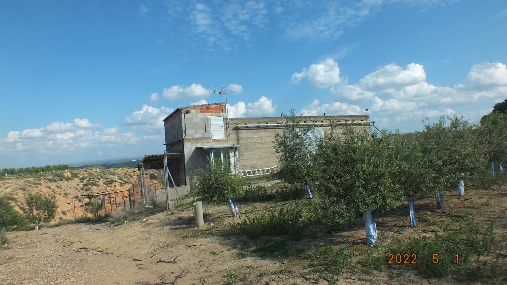  te koop boerderij Aitona Segrià 1