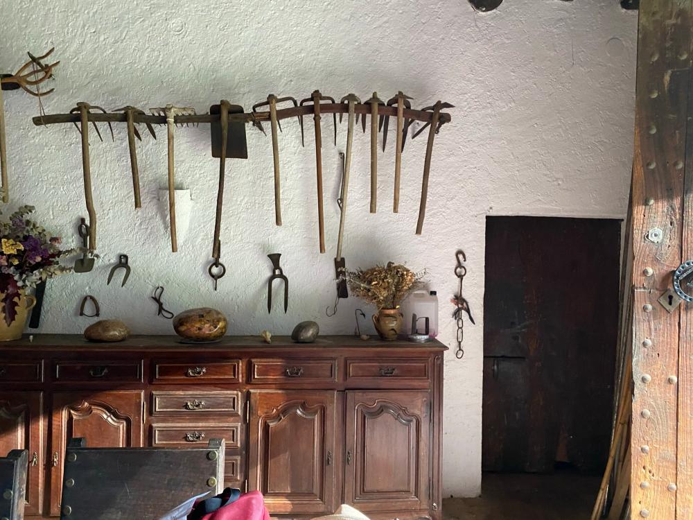  te koop boerderij Sant Andreu De La Barca Baix Llobregat 8