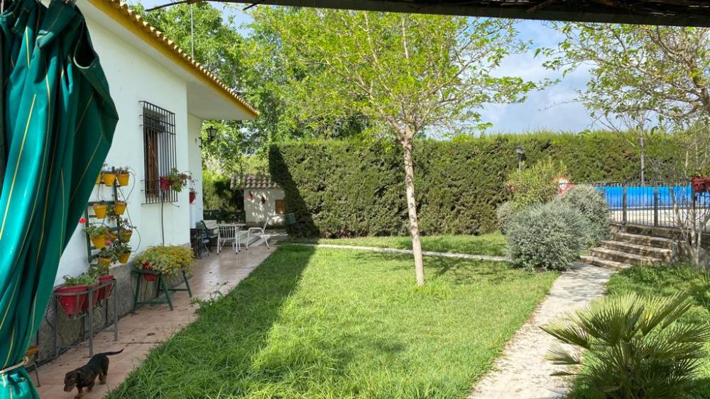  te koop villa Baena Campiña De Baena 11