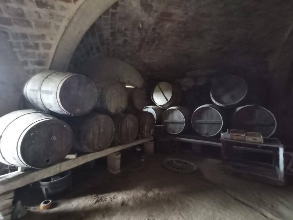  te koop boerderij Sant Andreu De La Barca Baix Llobregat 11