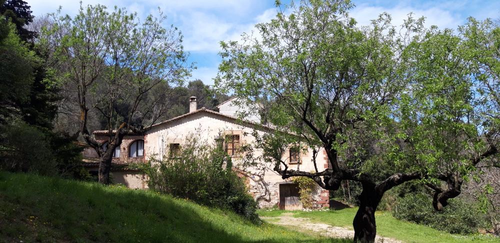  te koop boerderij Sant Andreu De La Barca Baix Llobregat 4