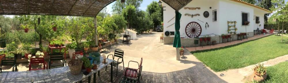  te koop villa Baena Campiña De Baena 2