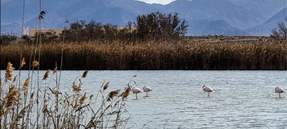  te koop perceel Cabo De Gata Comarca Metropolitana De Almería 2