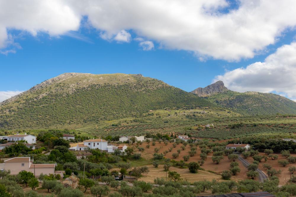  te koop villa Fuente Camacho Loja 8