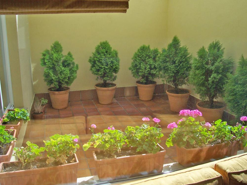  te koop huis Salamanca Centro 37001 Campo De Salamanca 25