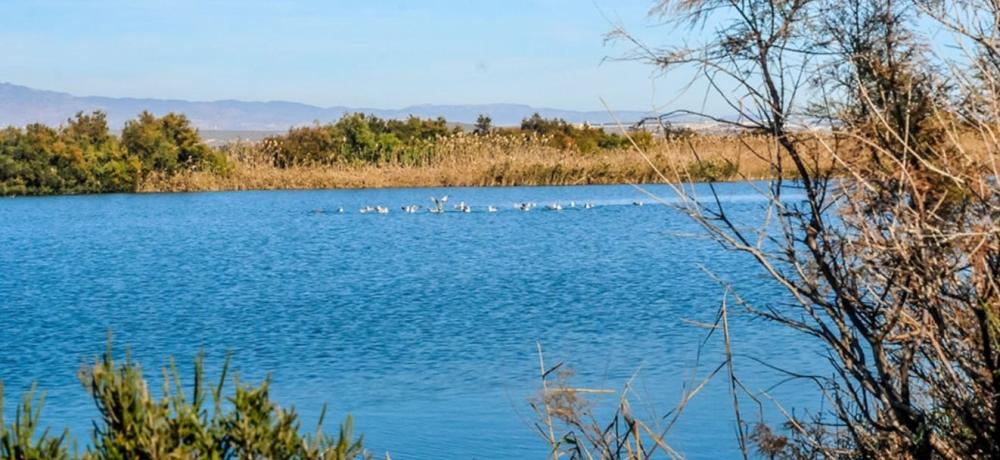  te koop perceel Cabo De Gata Comarca Metropolitana De Almería 7