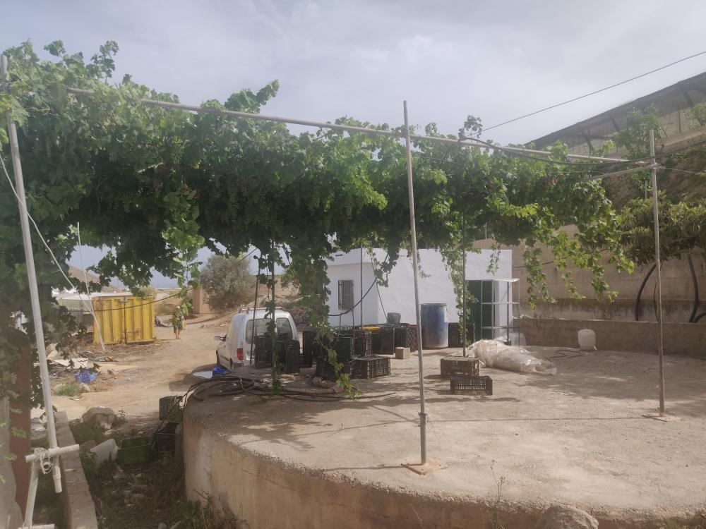  te koop perceel Castell De Ferro Costa Tropical 21
