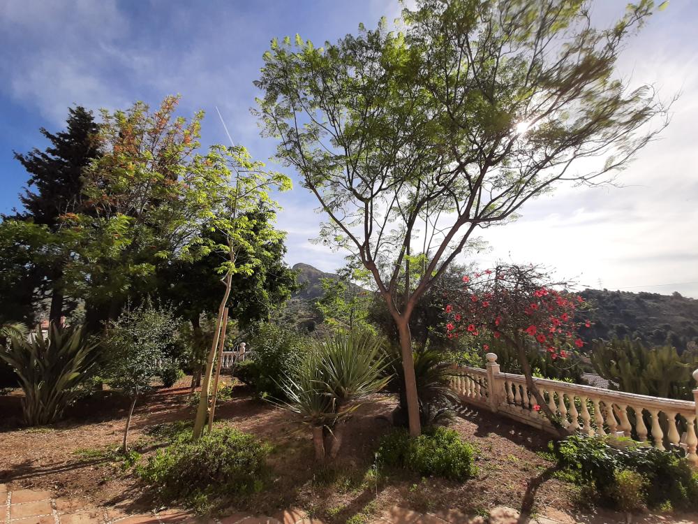  te koop huis Málaga Este 29018 Málaga-Costa Del Sol 1