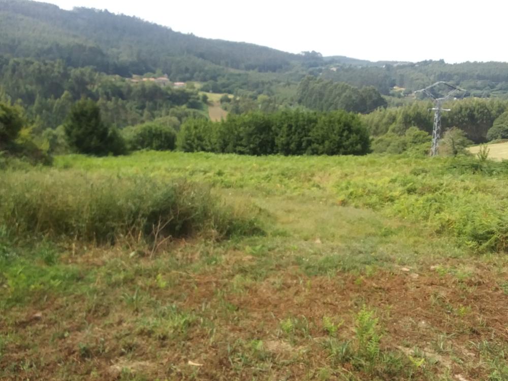  te koop boerderij Pena Betanzos 61