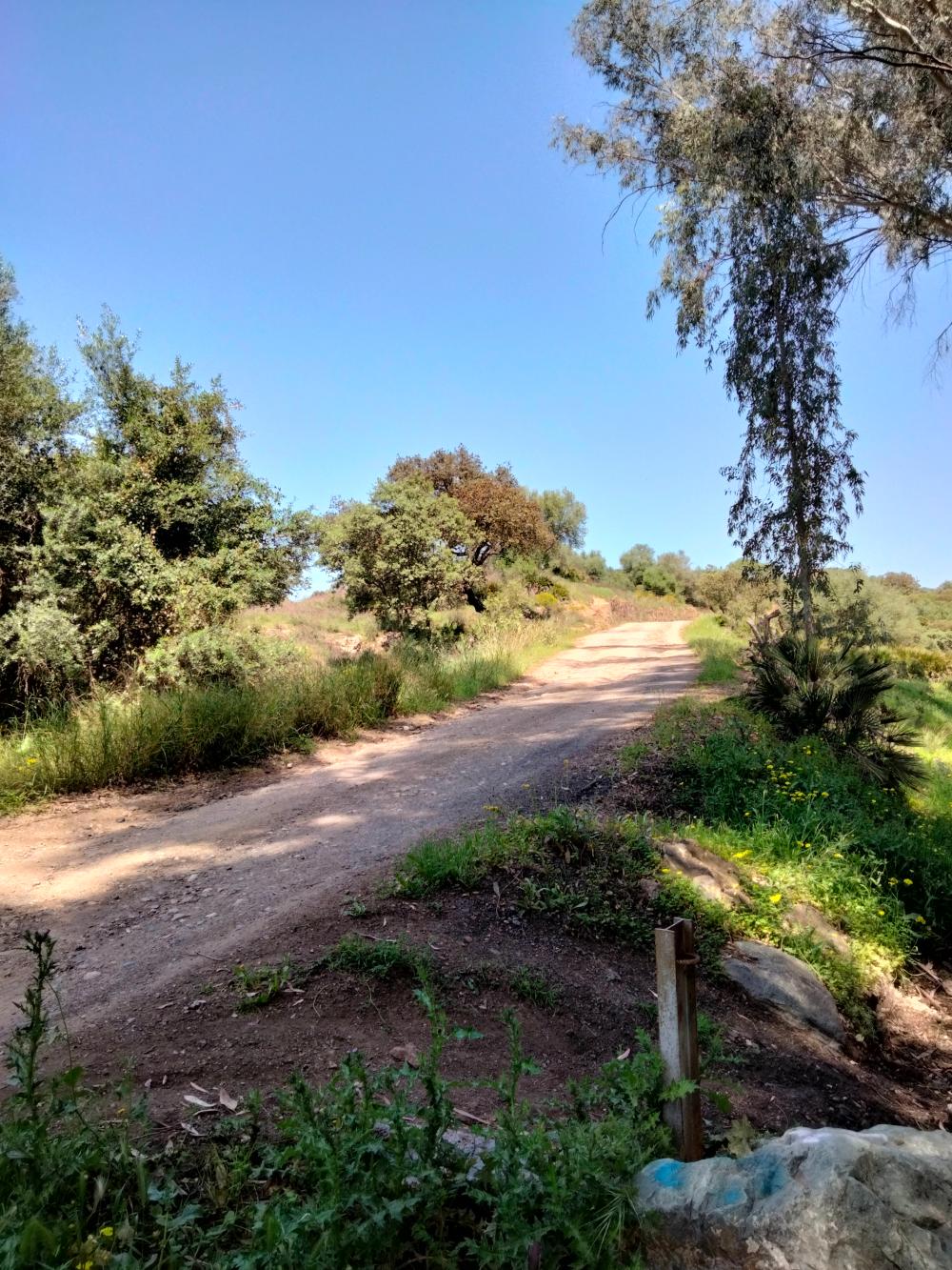  te koop bedrijfsruimte Villanueva Del Río Y Minas Vega Del Guadalquivir 14