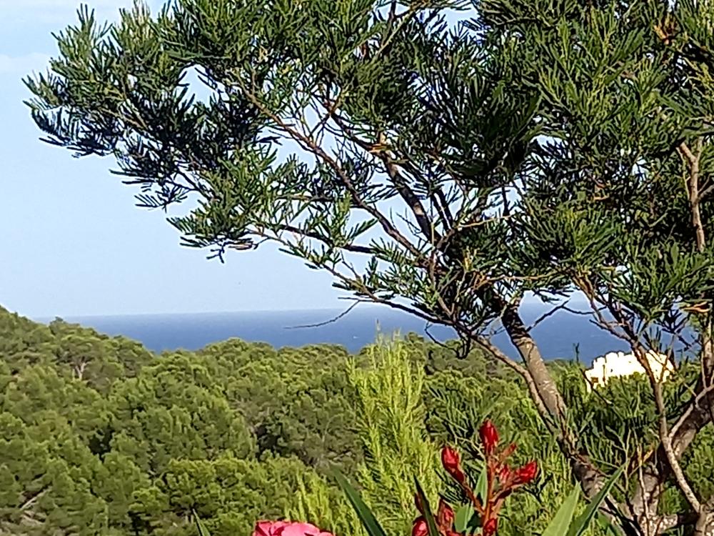  te koop villa Sierra De Altea Marina Baixa 14