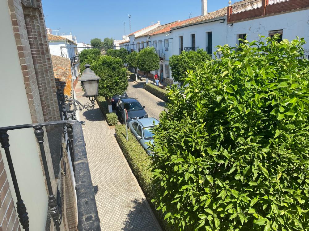  te koop huis El Pedroso Sierra Norte 25