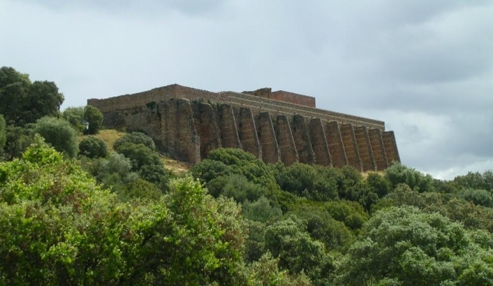  te koop bedrijfsruimte Villanueva Del Río Y Minas Vega Del Guadalquivir 11