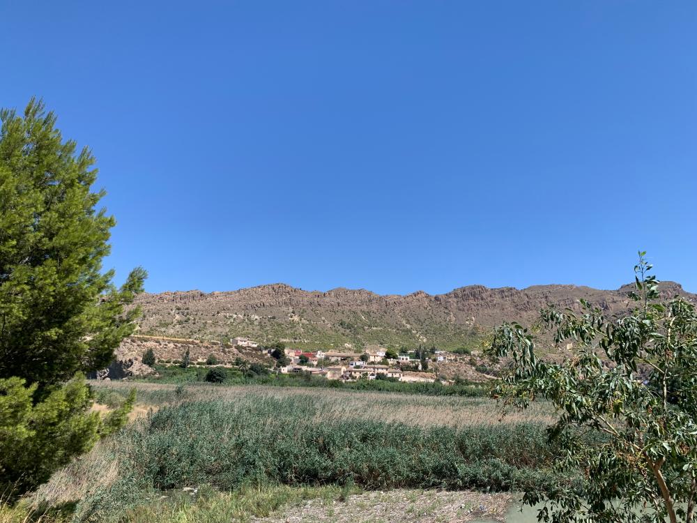  te koop boerderij Blanca Vega Alta Del Segura 12
