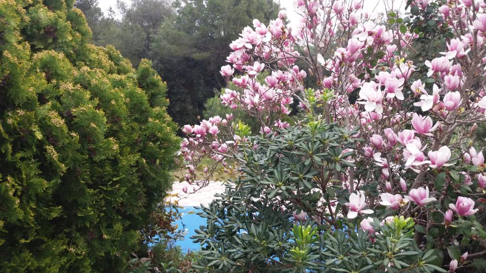  te koop villa Santa Eulàlia De Ronçana Vallès Oriental 8