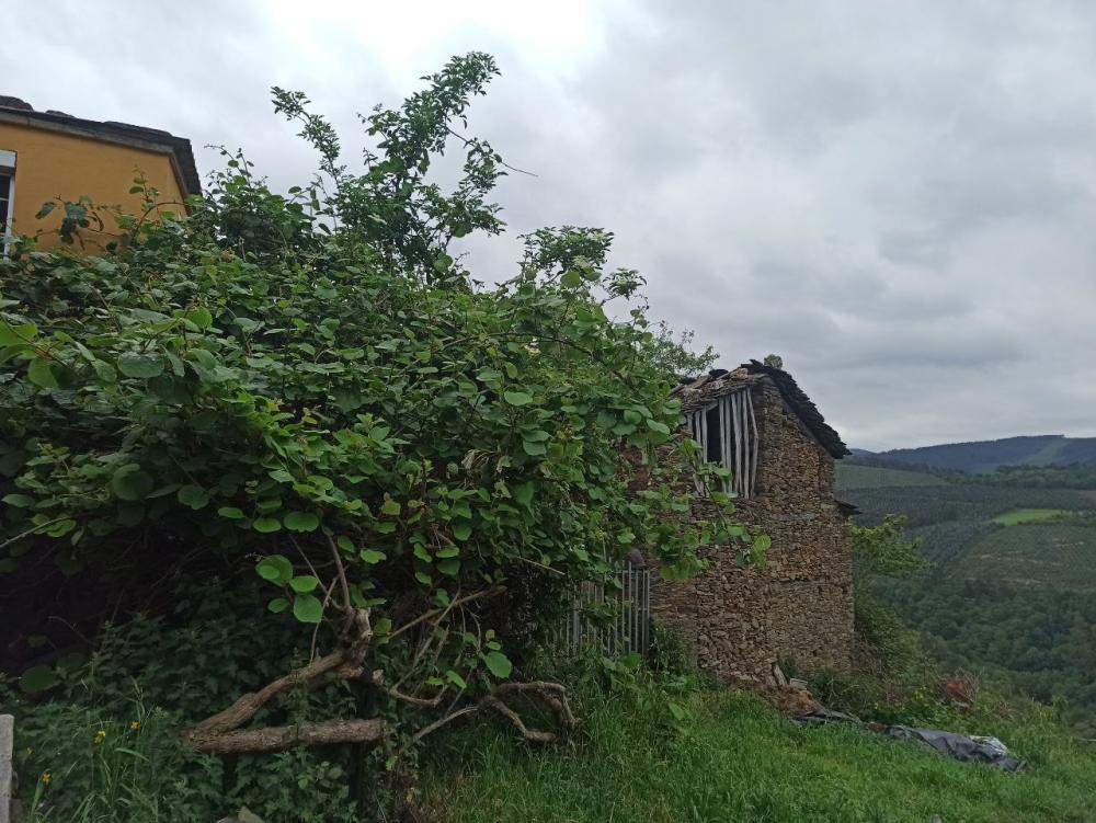 te koop boerderij Conforto Mariña Oriental 36