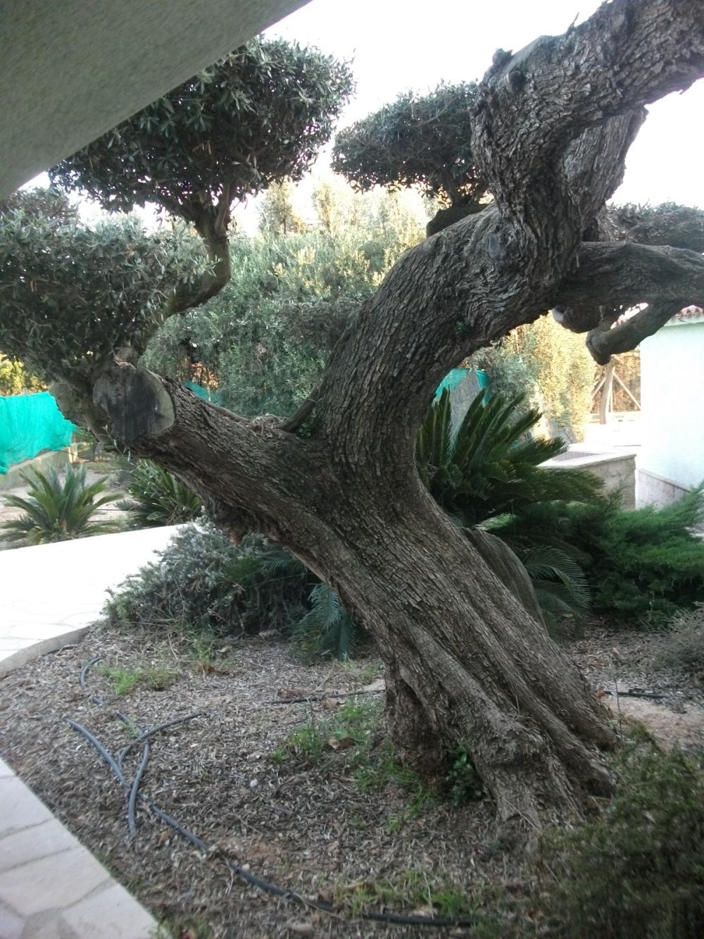  te koop boerderij Camarles Baix Ebre 12