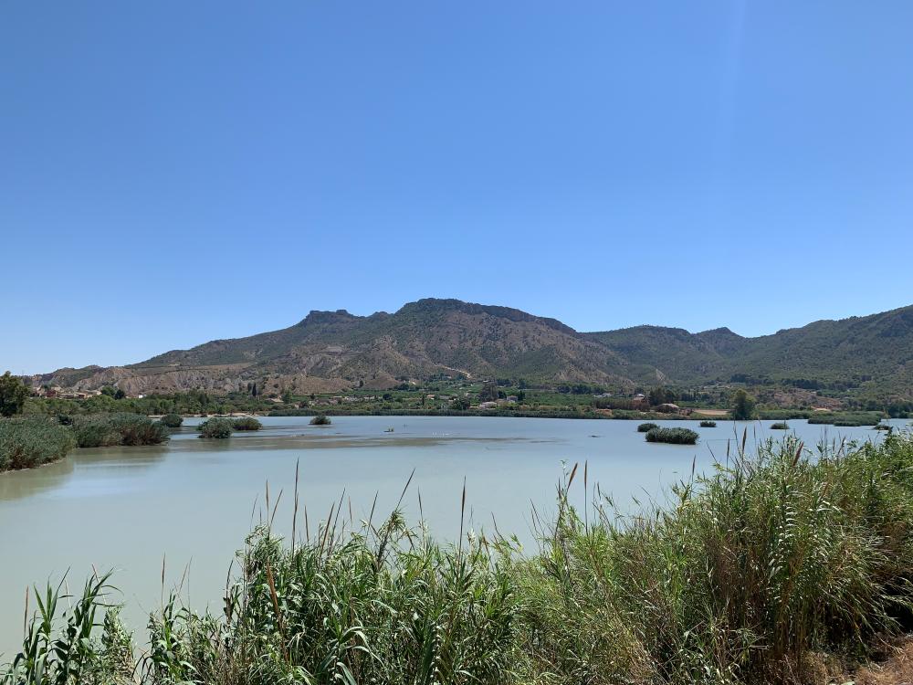  te koop boerderij Blanca Vega Alta Del Segura 10