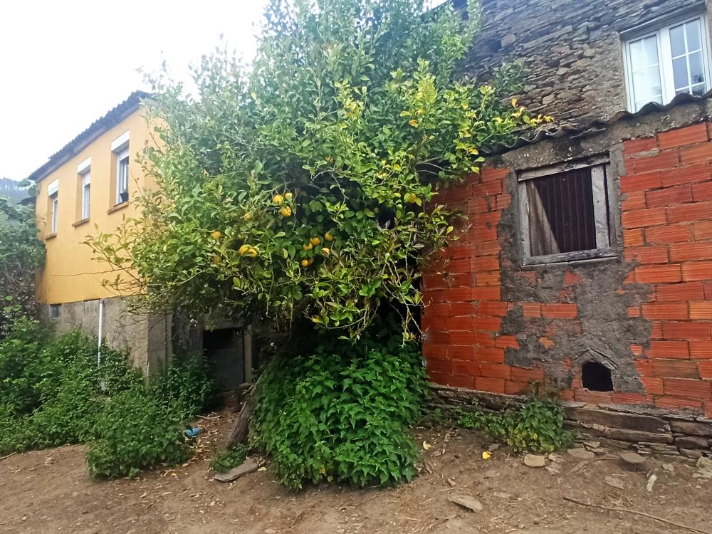  te koop boerderij Conforto Mariña Oriental 30