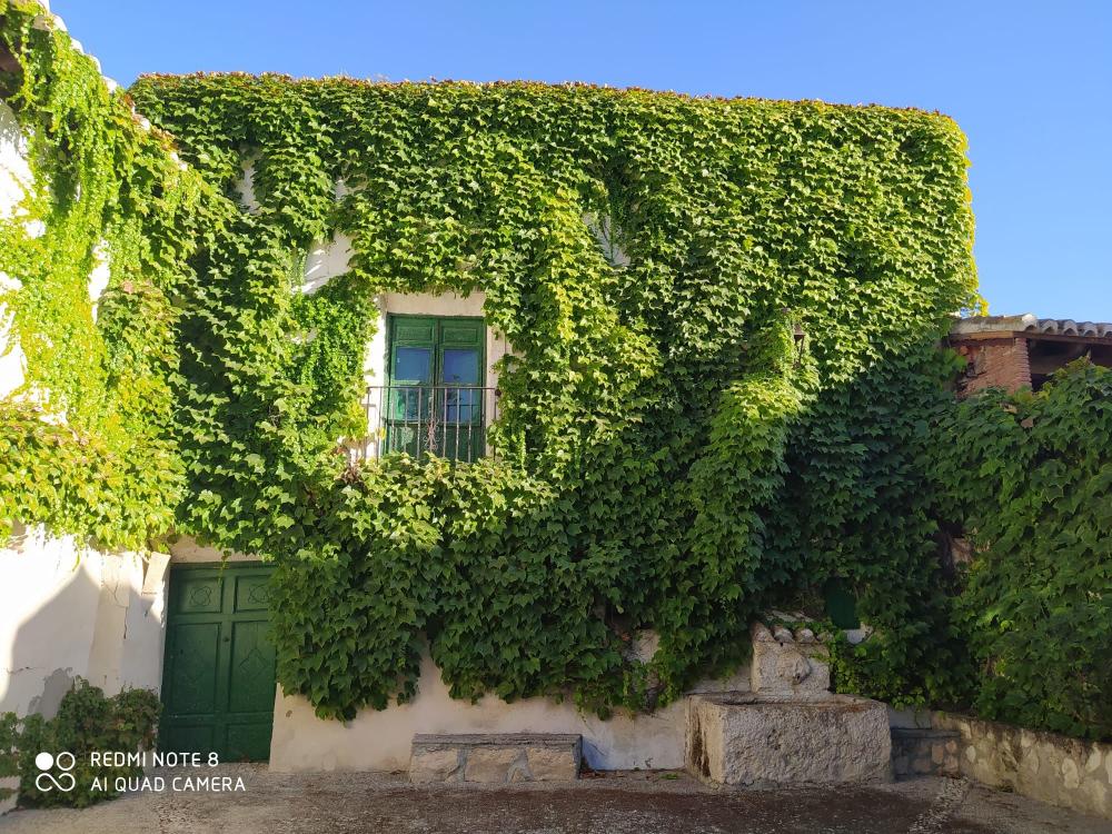  te koop huis Orce Huéscar 1