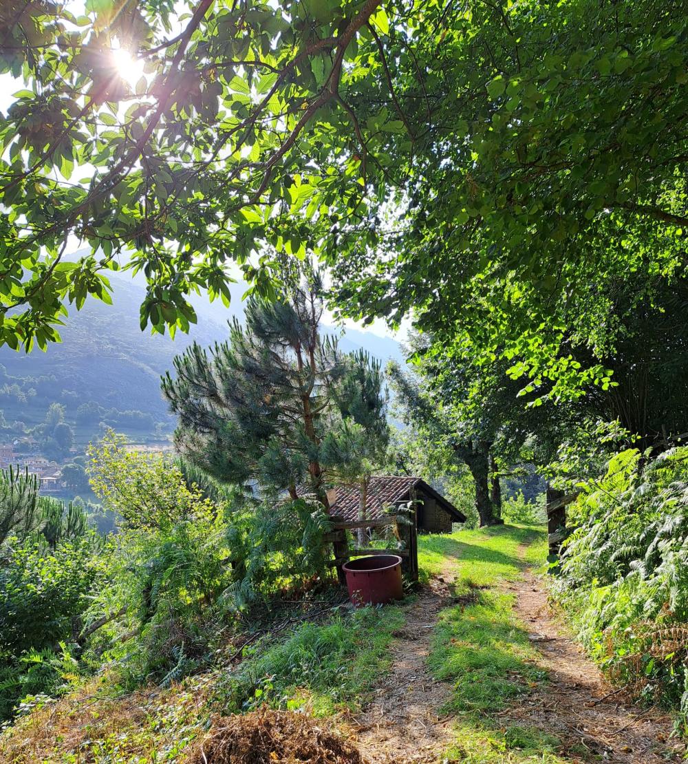  te koop boerderij Campo De Caso Nalón 4