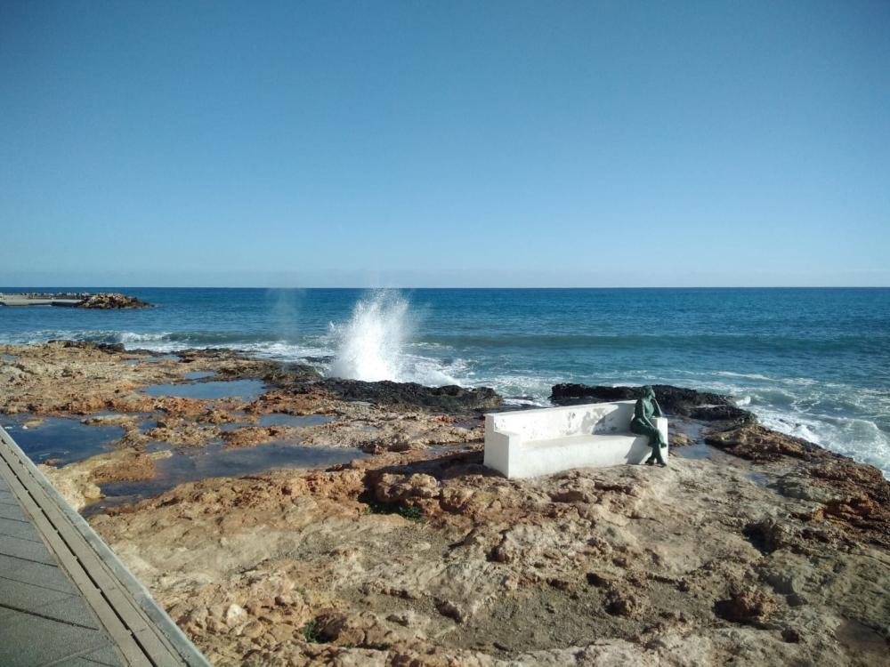  te koop appartement Torrevieja Baix Segura 15