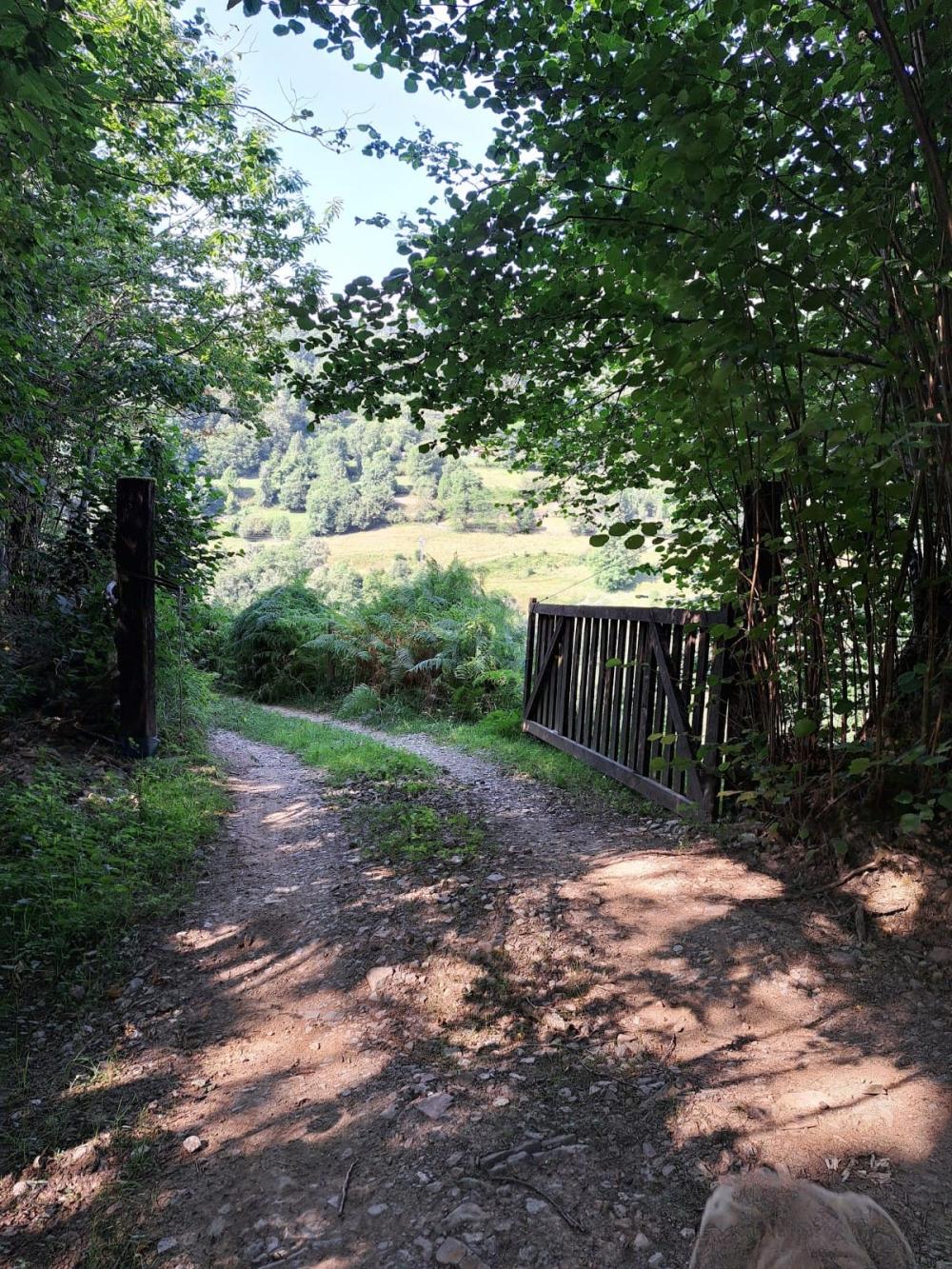  te koop boerderij Campo De Caso Nalón 26