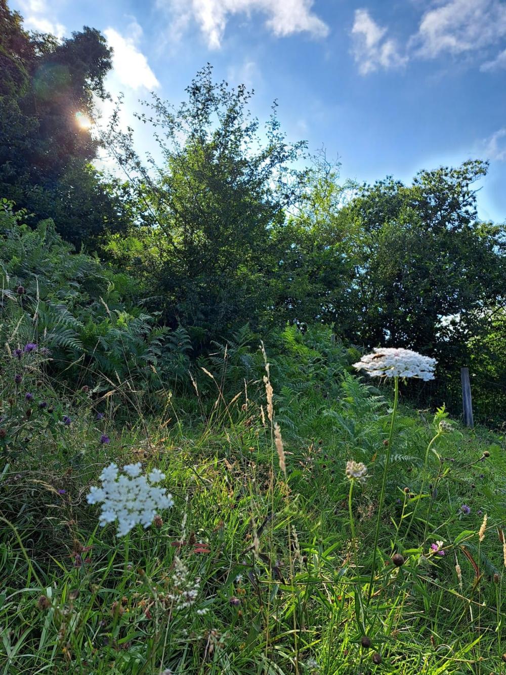  te koop boerderij Campo De Caso Nalón 37