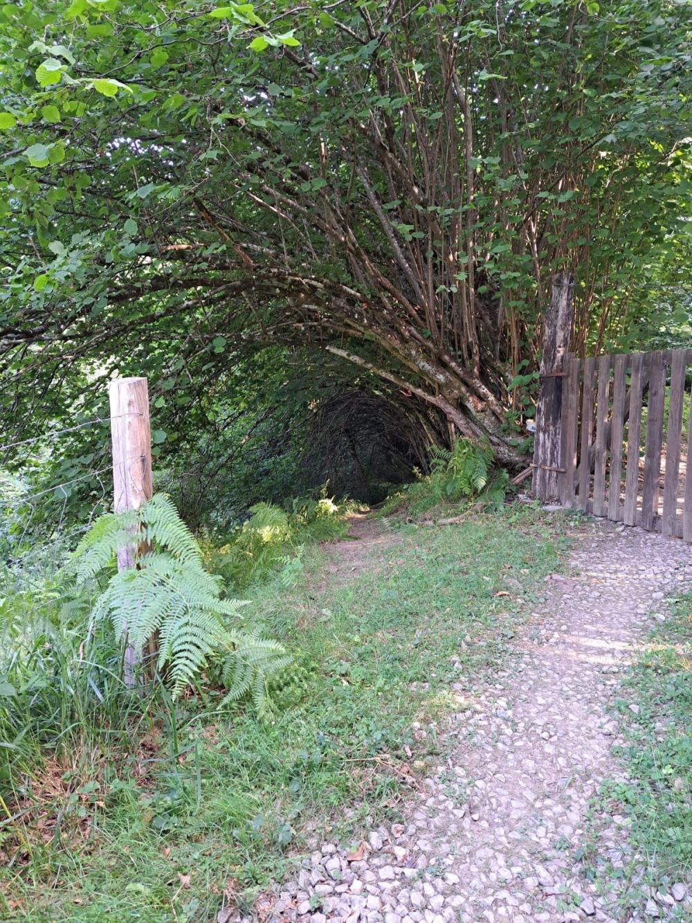  te koop boerderij Campo De Caso Nalón 47