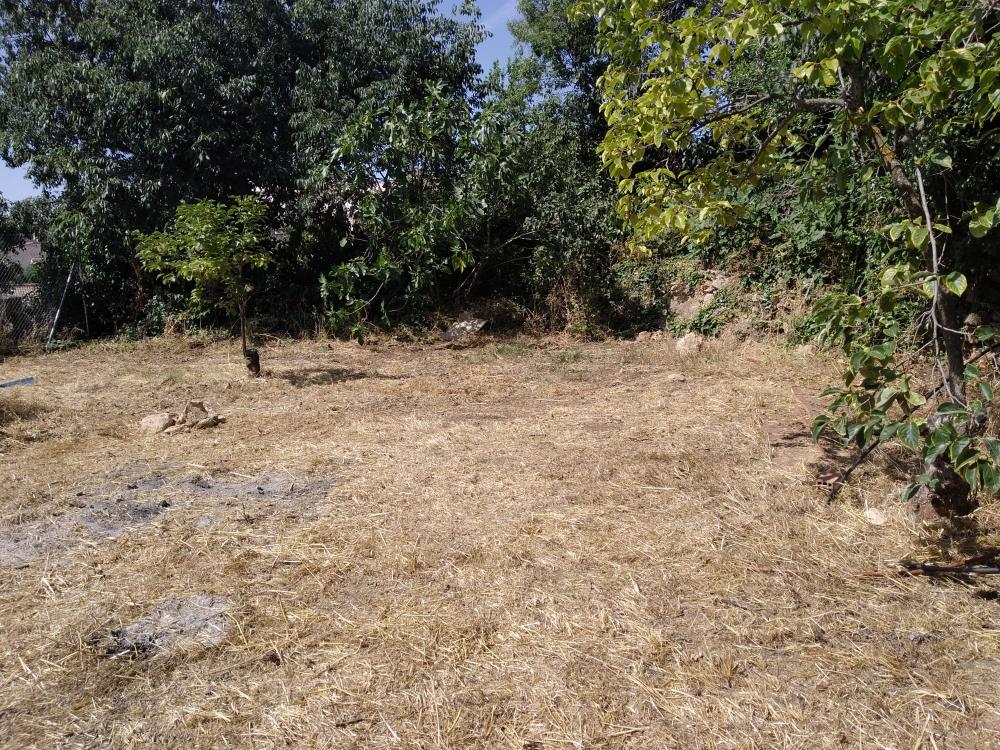  te koop villa Frailes Sierra Sur 6