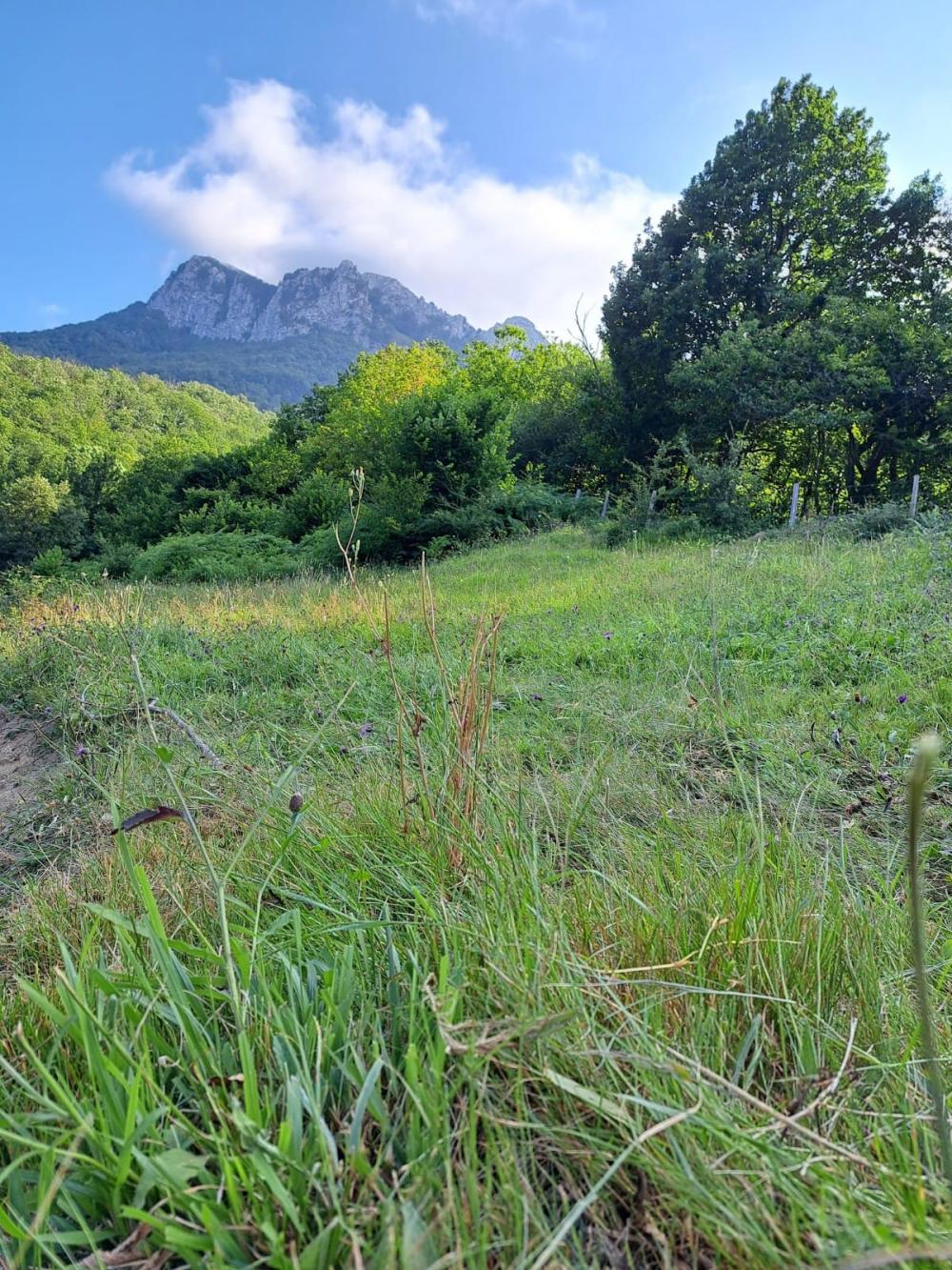  te koop boerderij Campo De Caso Nalón 36