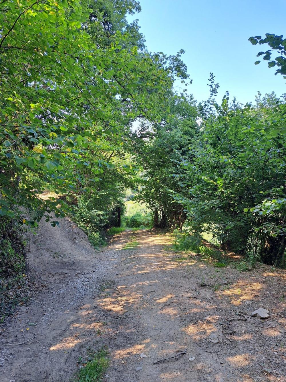  te koop boerderij Campo De Caso Nalón 25