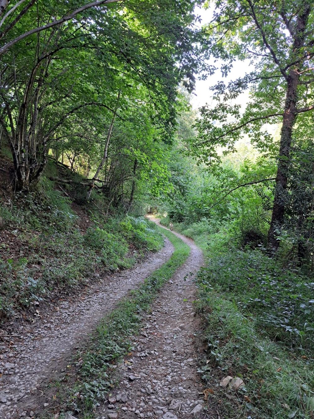  te koop boerderij Campo De Caso Nalón 24