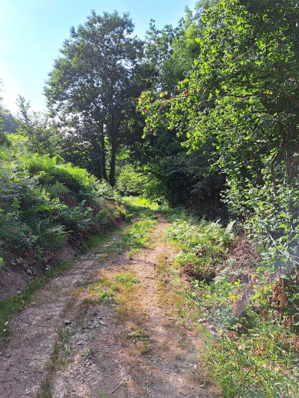  te koop boerderij Campo De Caso Nalón 51