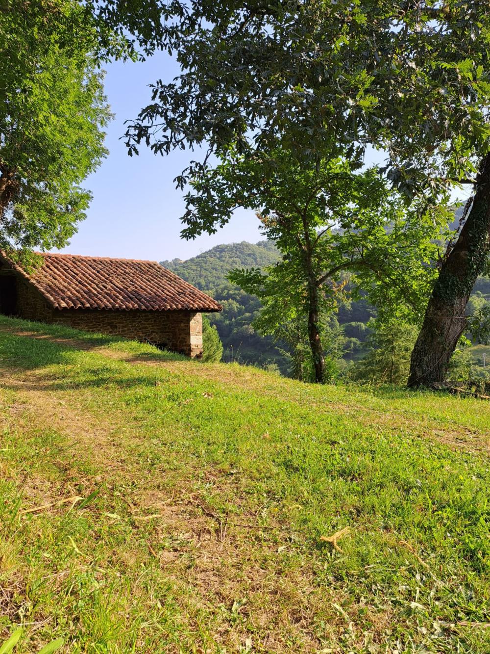 te koop boerderij Campo De Caso Nalón 10