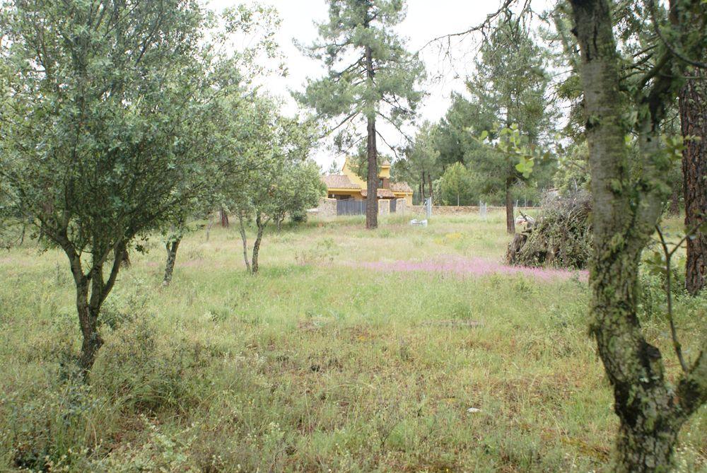  te koop perceel Marugán Campiña Segoviana 10