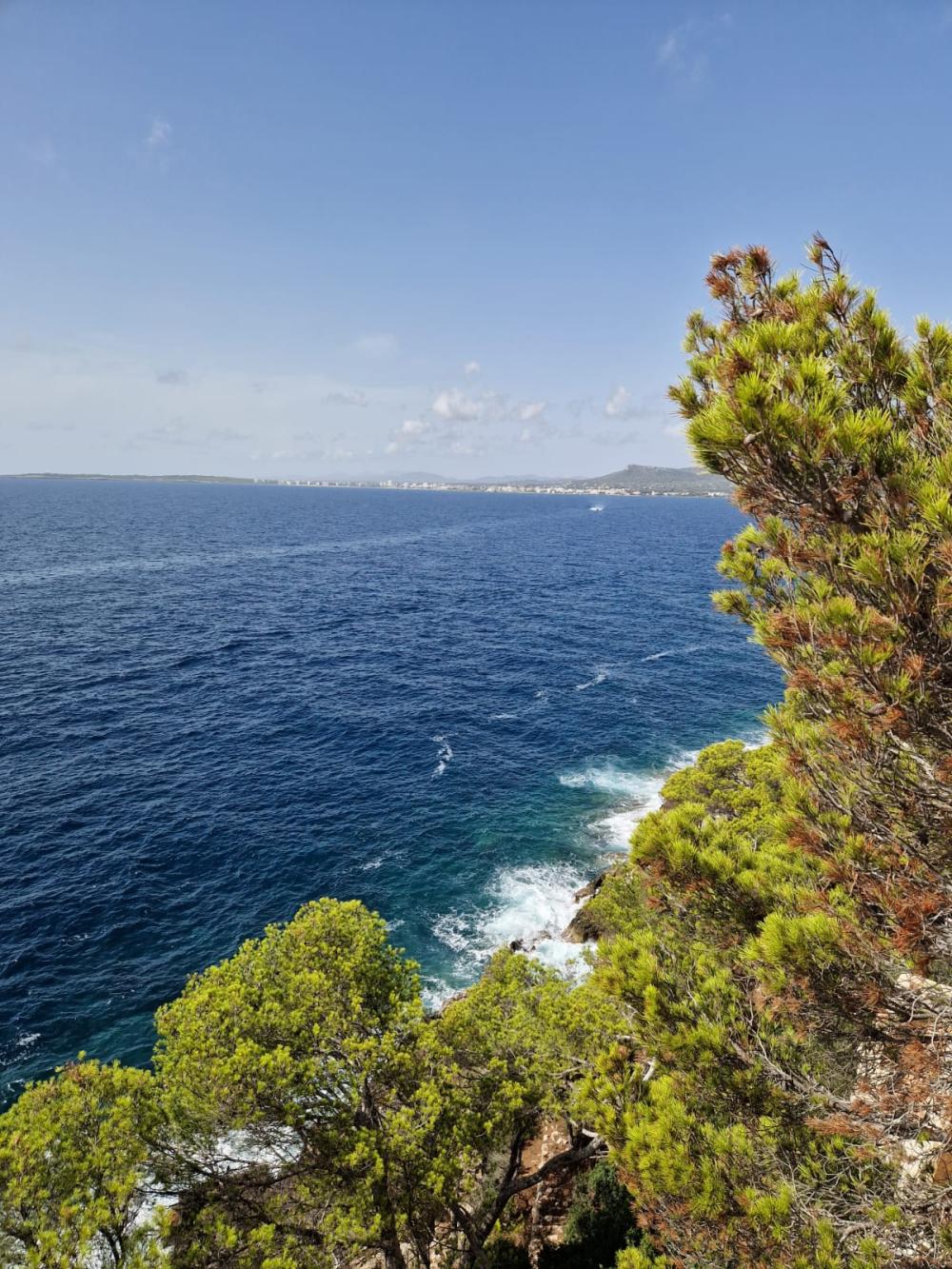  te koop perceel Costa De Los Pinos Llevant 13
