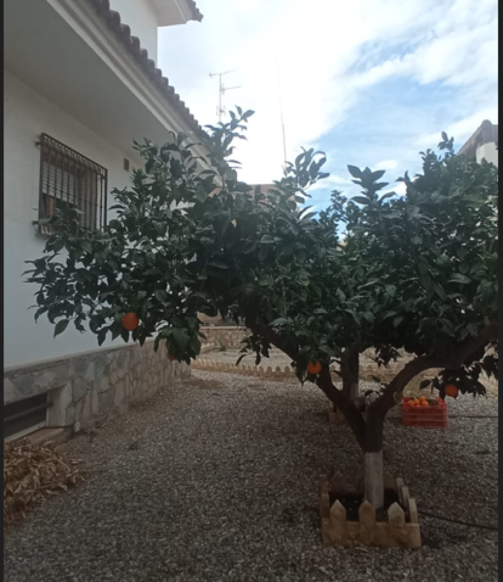  te koop villa Calabardina Alto Guadalentín 22