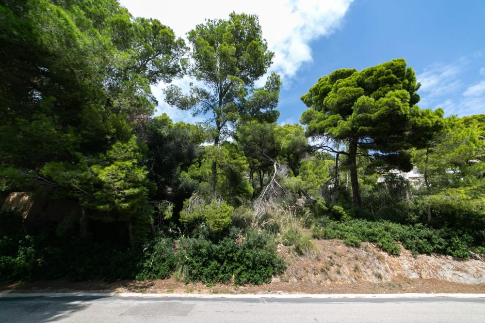  te koop perceel Costa De Los Pinos Llevant 10