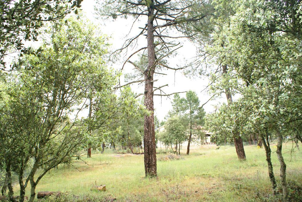  te koop perceel Marugán Campiña Segoviana 9