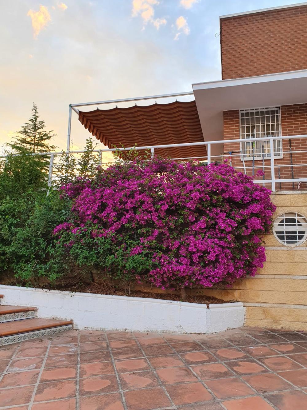  te koop boerderij Alcolea Córdoba 5