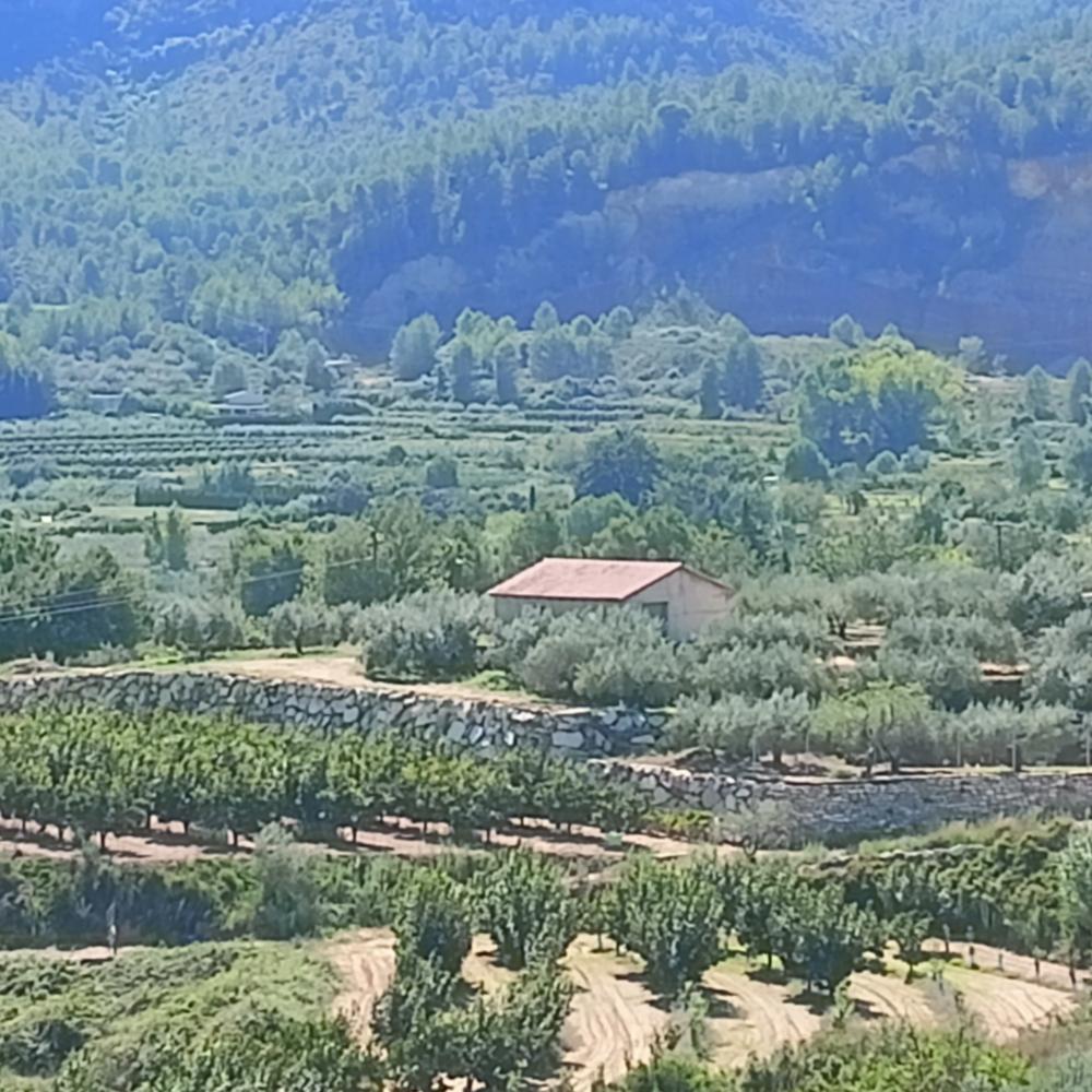  te koop huis Rugat Vall D'albaida 1