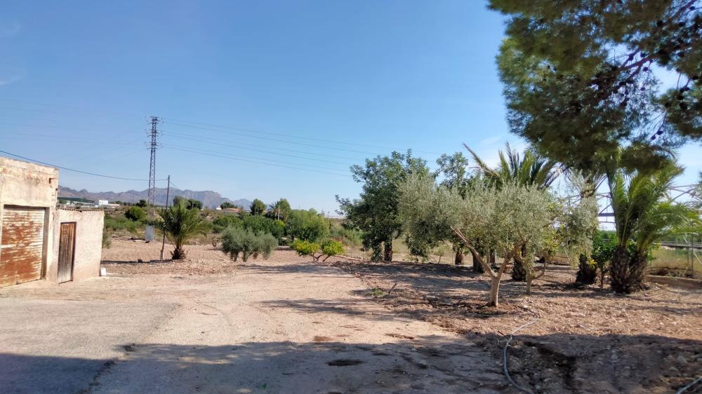  te koop boerderij La Murada Baix Segura 18
