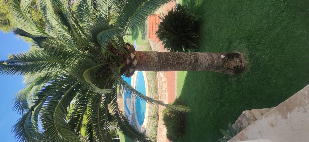  te koop appartement Montañar Marina Alta 15