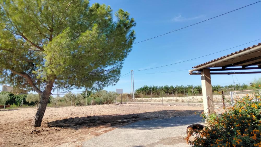  te koop boerderij La Murada Baix Segura 1