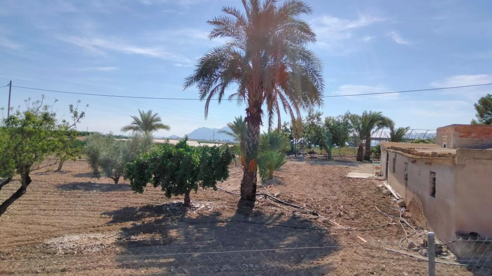  te koop boerderij La Murada Baix Segura 4