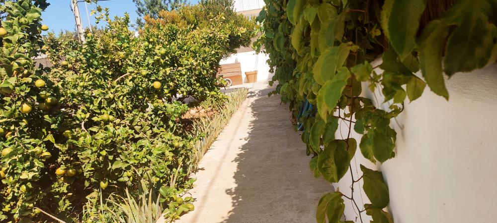  te koop huis Sant Jordi De Ses Salines Sant Josep De Sa Talaia 18