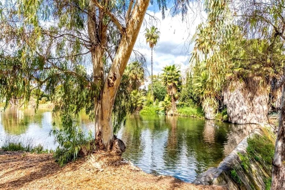  te koop appartement Nueva Andalucía Costa Del Sol Occidental 21