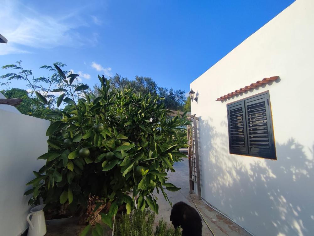  te koop huis Sant Jordi De Ses Salines Sant Josep De Sa Talaia 5
