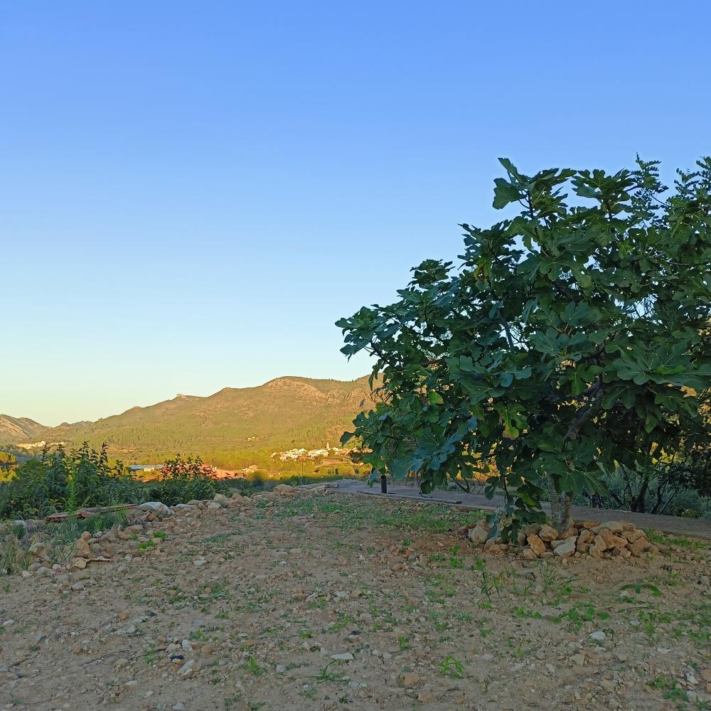  te koop huis Rugat Vall D'albaida 4
